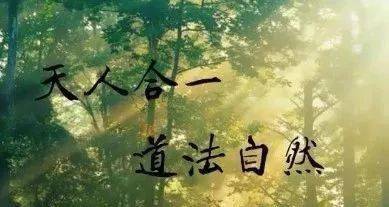 很多师父都舍得不给弟子讲的---站桩核心窍门