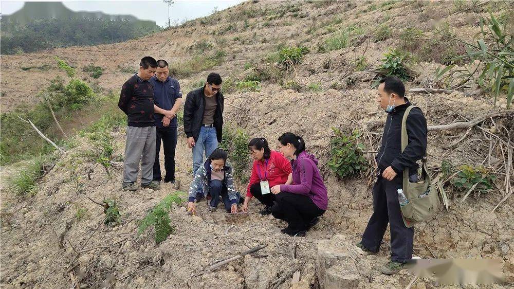 林业技术人员现场指导新造林整地工作