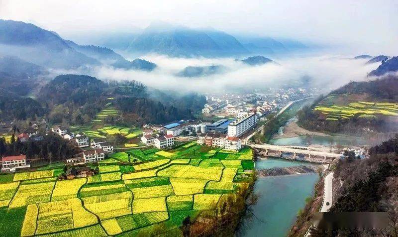 【陕南春摄】4月汉中油菜花,凤堰古梯田,洋县朱鹮,红腹锦鸡生态风光