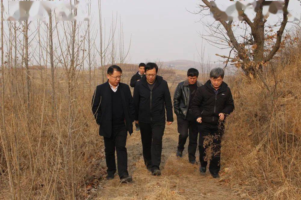 副县长王传国同志到中至镇督导护林防火及乱占耕地建房整改工作情况