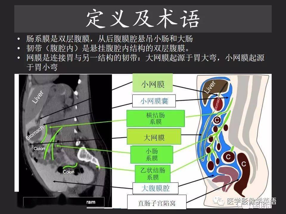 胃肠穿孔气从哪里来通过腹膜解剖确定穿孔部位