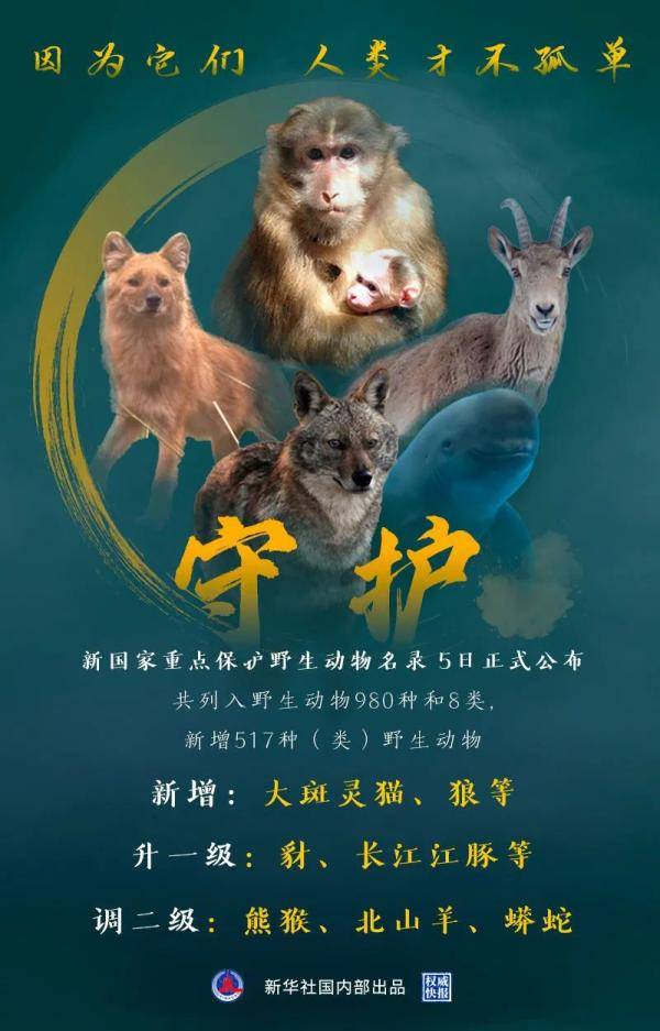 漂亮极了!云南这些明星鸟类升为国家一级保护野生动物