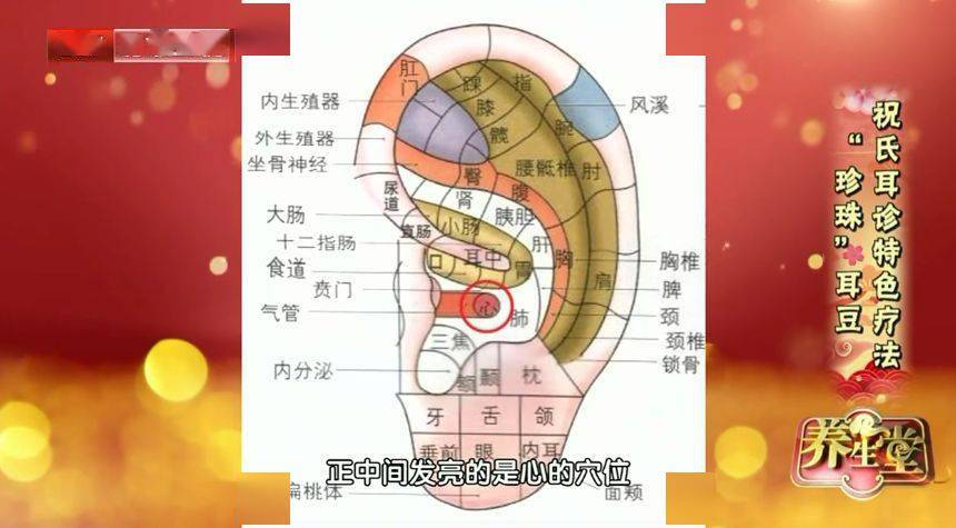 耳朵区域穴位图△祝氏耳诊特色疗法"珍珠"耳豆小视频.