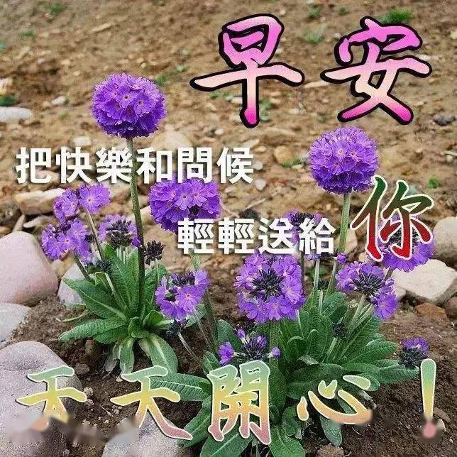 2月10日特别漂亮早上好问候图片带字,早安祝福语动态图片大全