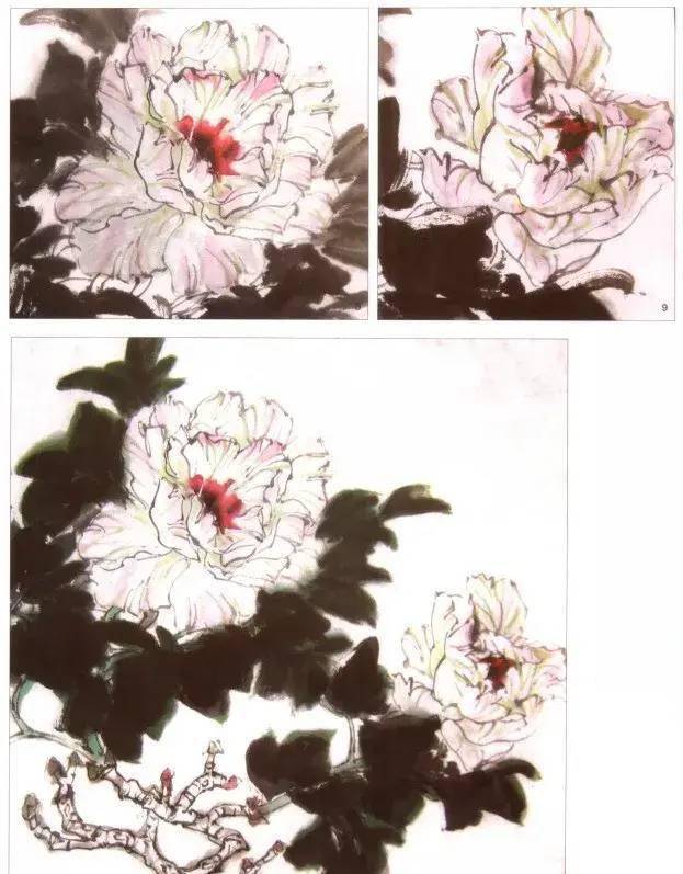 【国画教程】教你画小写意牡丹,从叶到枝再到花,一笔笔教你,不怕你学