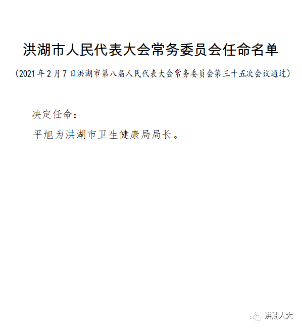 洪湖市人民代表大会常务委员会任命名单