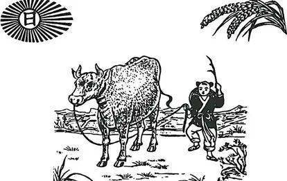 来临之时,人们会用泥土还原牛的模型并在后面象征性鞭打来叫醒耕牛