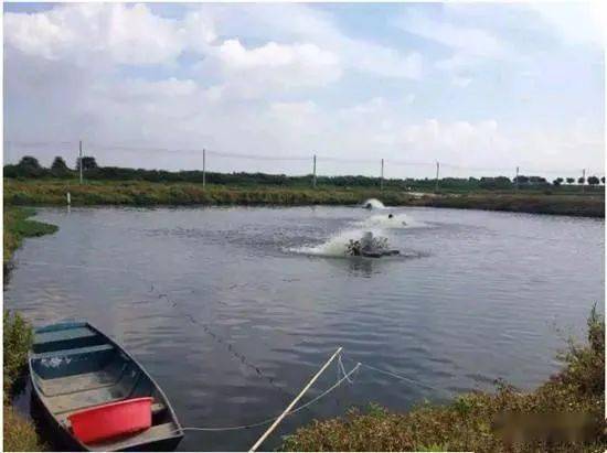 【养殖天地】虾塘水体中,有氨氮和亚硝酸盐,还可以使用无机盐吗?