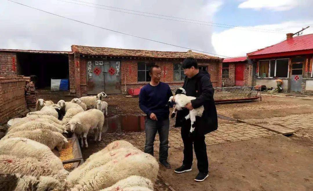 初心如磐 使命在肩 谱写脱贫攻坚新篇章——四子王旗忽鸡图乡三合泉村