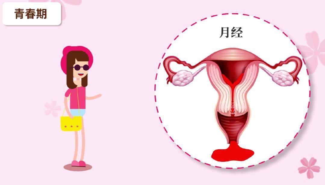 "  人在青春期的最大变化是  生殖器官的发育和成熟.