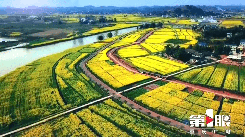 打卡巴渝美景潼南陈抟故里崇龛花海