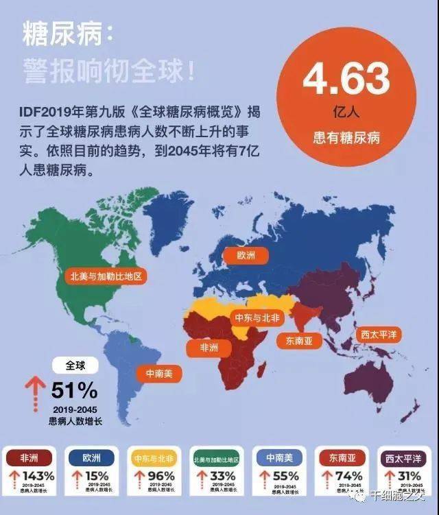 我国糖尿病发病率逐年升高,成年人的患病率约为9.7~11.6.