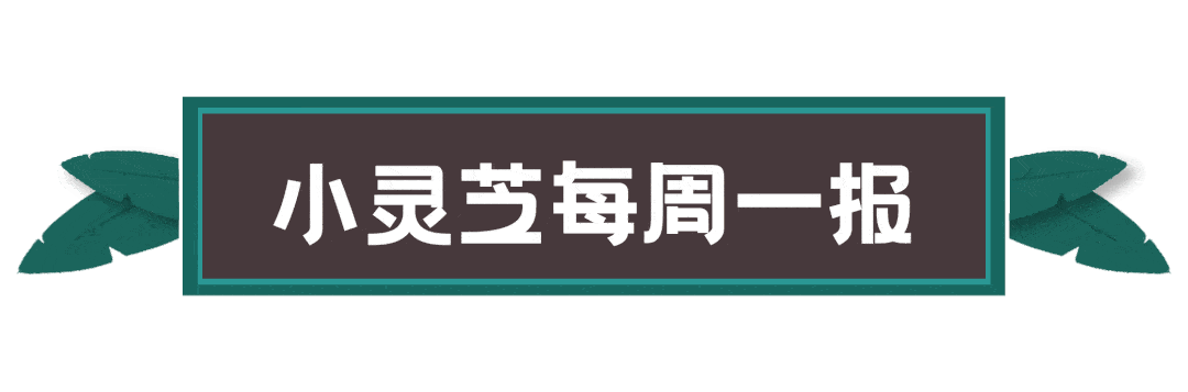 diy  2/21 14:00-15:30 大学路·下壹站 (淞沪路333号大隐书局b1层旁)