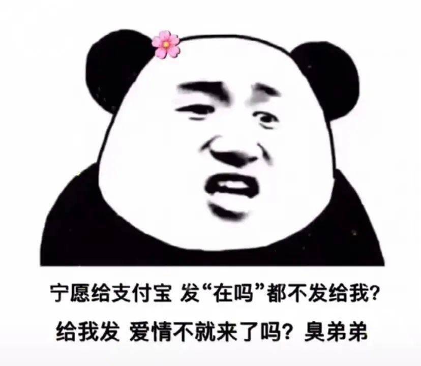 抖音表情包宁愿给支付宝发在吗都不发给我