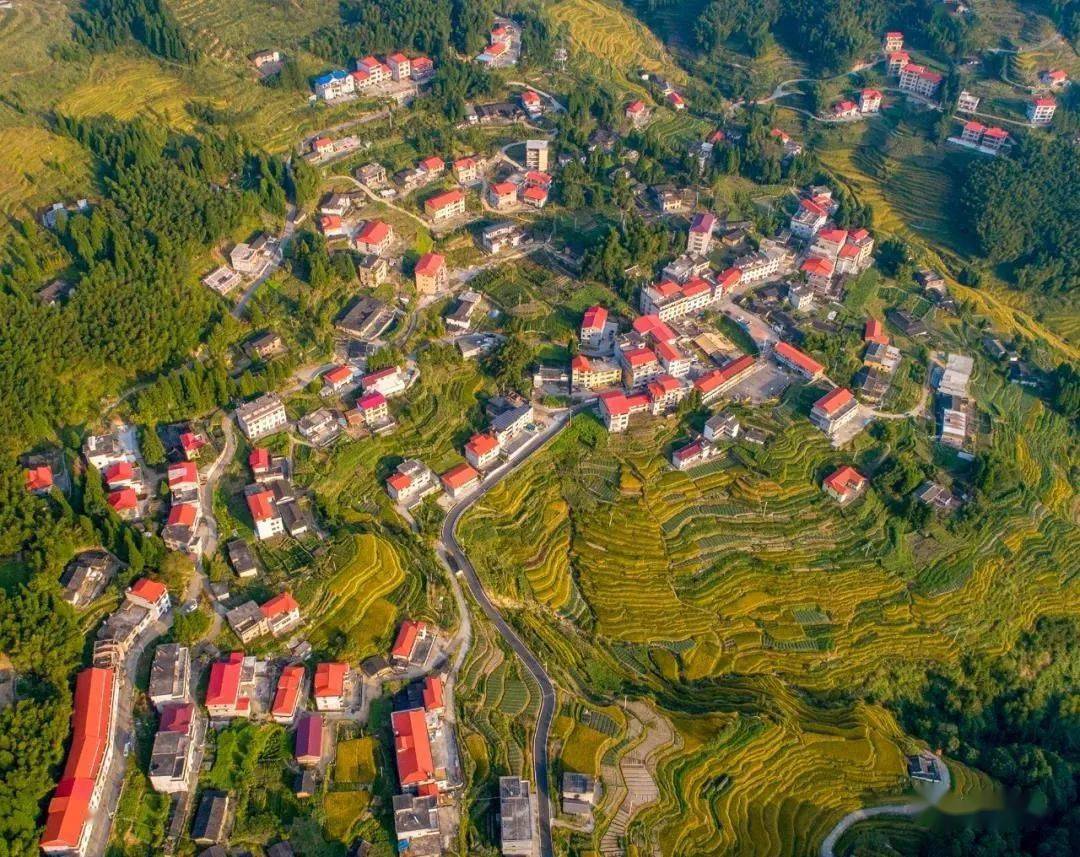 永春大学生回乡惊叹:我家就在景区里_呈祥村