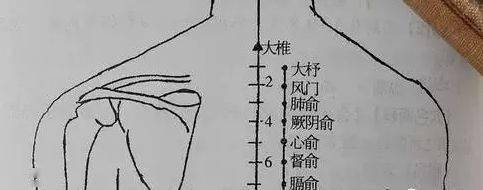 心包有代心受邪的作用,因此,心脏疾患大多配用心包经的穴位,厥阴俞与