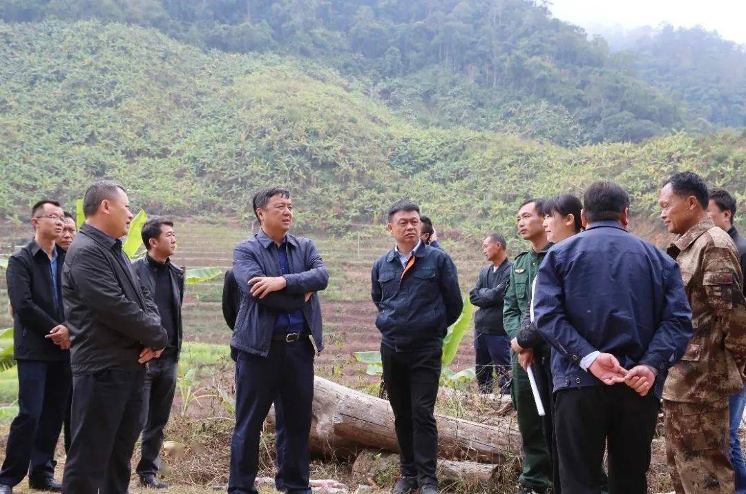 普洱市副市长李荣到景谷县调研指导普洱现代林产业景谷现场会筹备工作