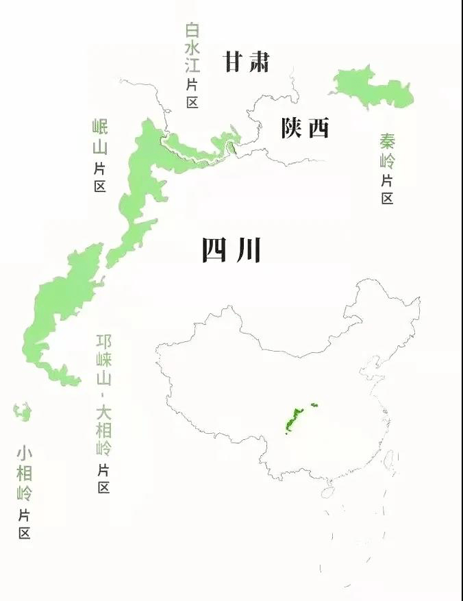 作为中国的特有物种,大熊猫野生种群仅分布在四川,陕西,甘肃三省,栖息