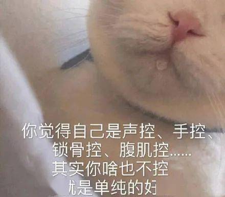 lsp们,进来存图 | 表情包