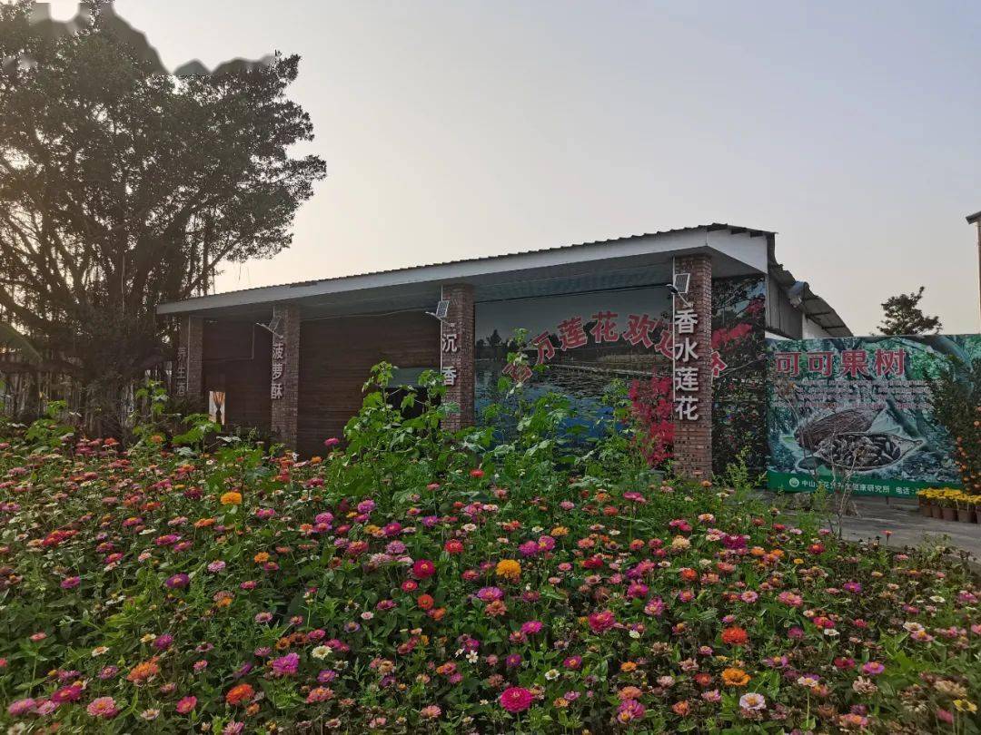 本期为你介绍  集生态游,研学游于一体的 香水莲花生态园 2021年2月20