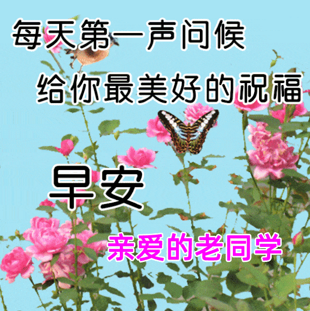 正月十二清晨漂亮早上好问候祝福表情包早安问候祝福动态图片表情