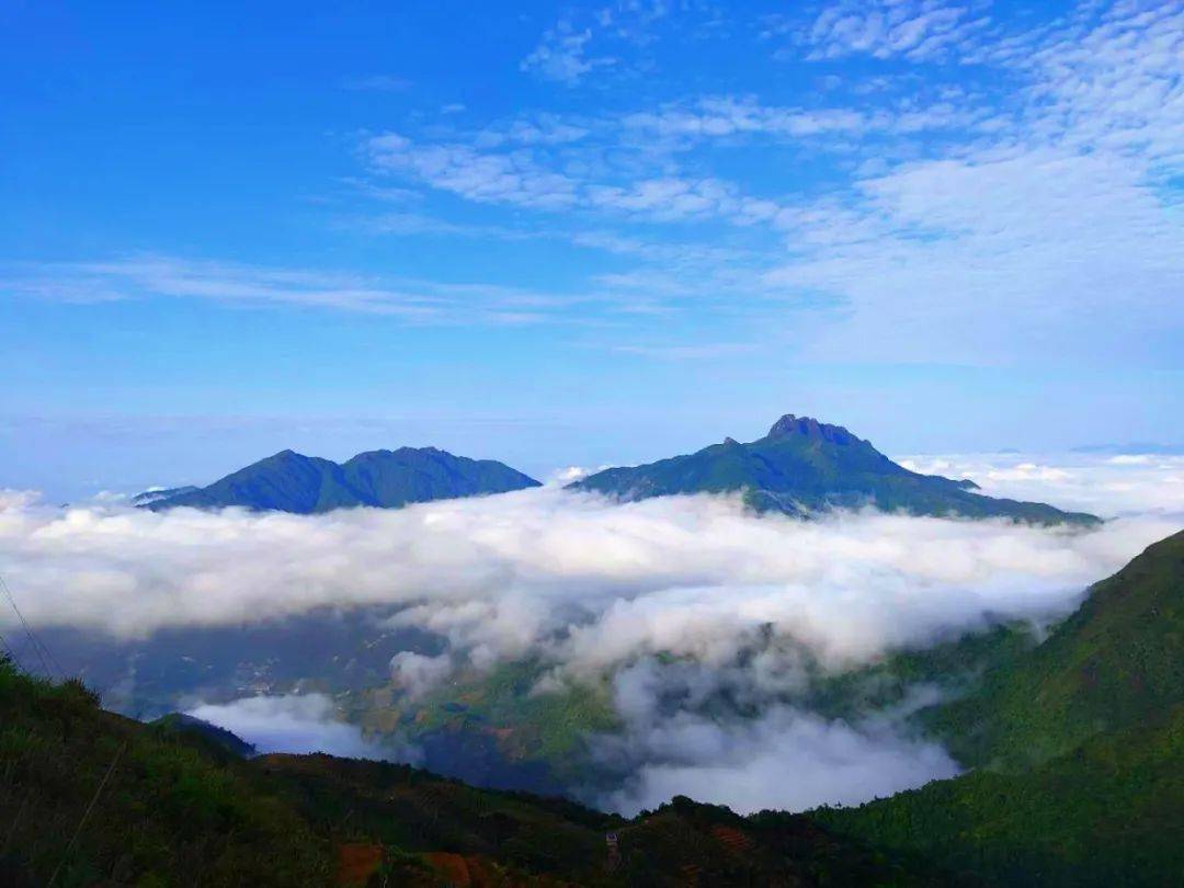 最近的凤凰山天气天池景区也好到爆! 太适合出游啦!