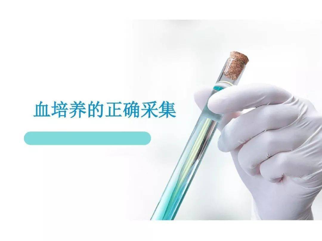 ppt如何进行血培养标本的正确采集