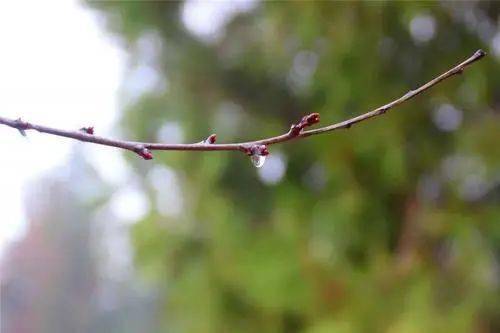 他经历了国破家亡,尝遍人生辗转之苦,  少年时追欢逐乐,心晔逼次