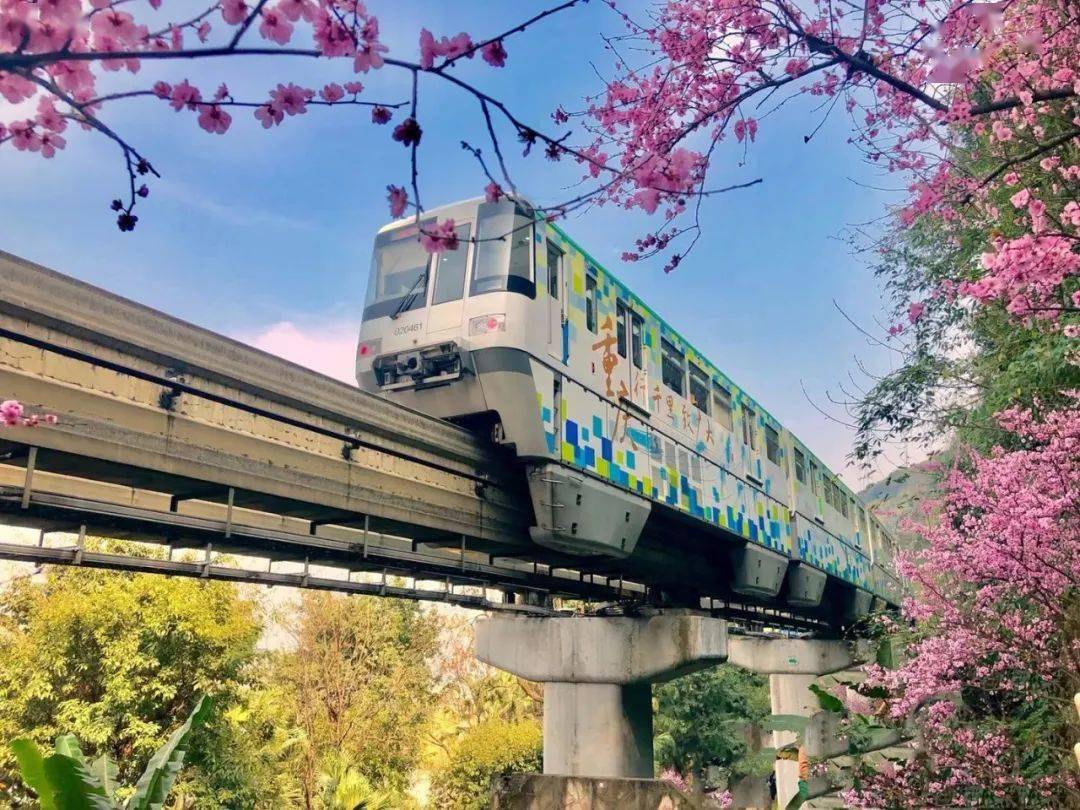 共建了不起的重庆让城市成为我们心中的美好
