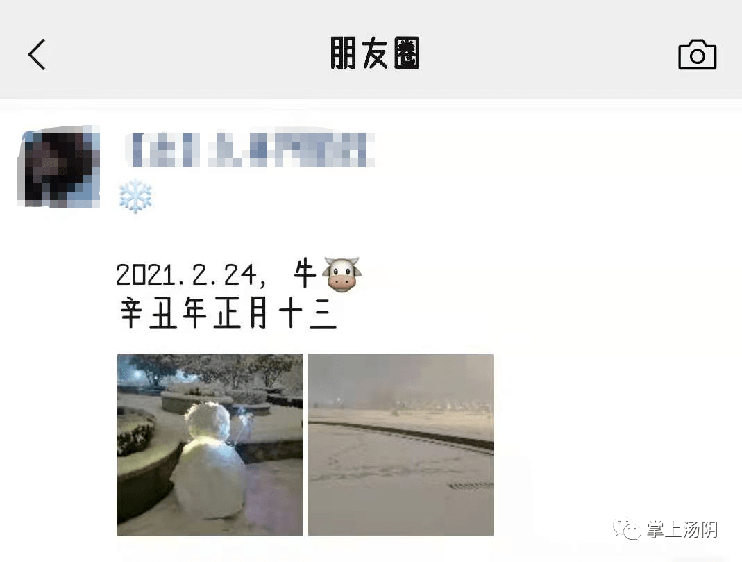 2021汤阴第一场雪太生猛了(多图 视频)