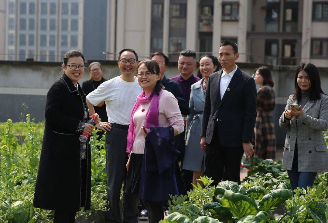 八十四中,茶园新城中学,天台岗万国城小学和珊瑚鲁能小学五所学校的