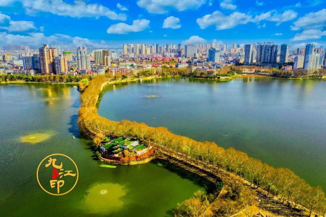 选择了于九江的山水为伴, 于是,荷花成了这座城市无处不在的风景, "