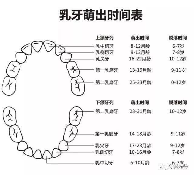 再次提示:"奶瓶龋"再不重视,孩子牙齿就彻底毁了!_乳牙