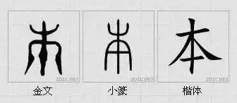 中国汉字:一字一世界,一笔一乾坤