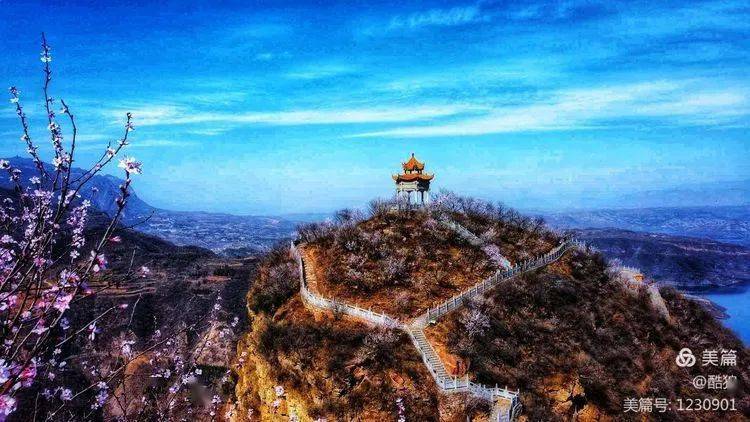 花开荆紫山,桃花相映红!_新安县