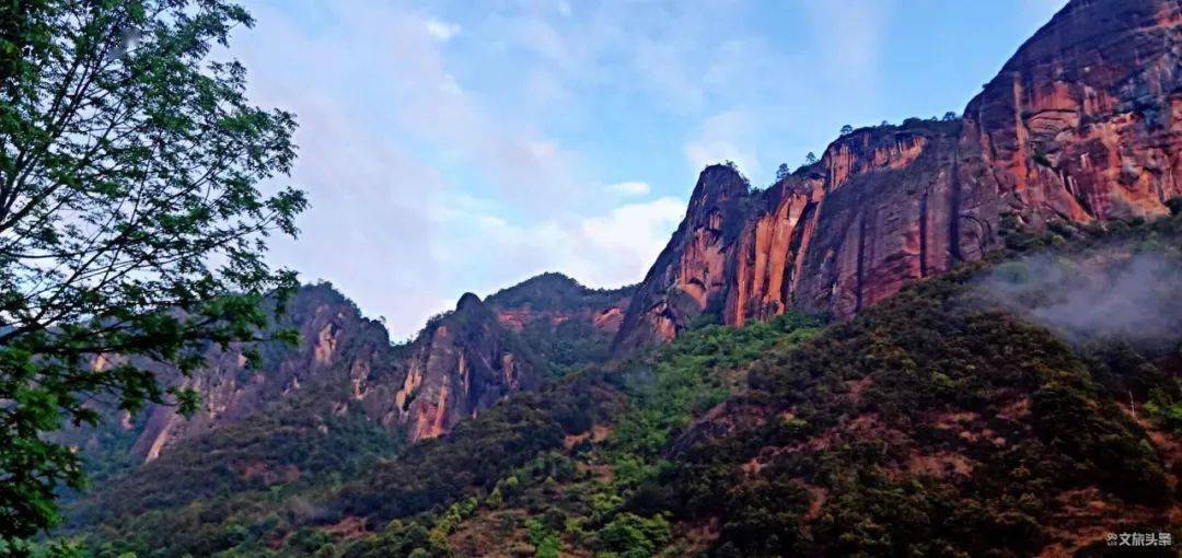 (丽江老君山 杨新林 摄)