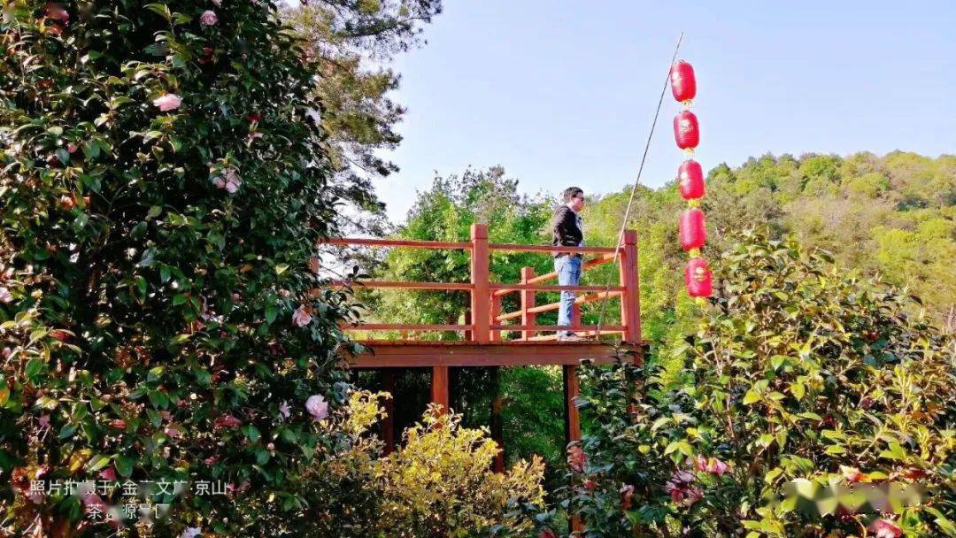 茶花源风景区 湖北省荆门市京山市水峡口村(城西南9公里处) 开启 "