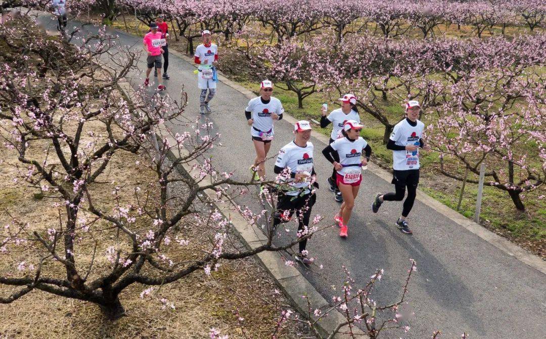 4月3日,浙江首马-奉化桃花马拉松来了