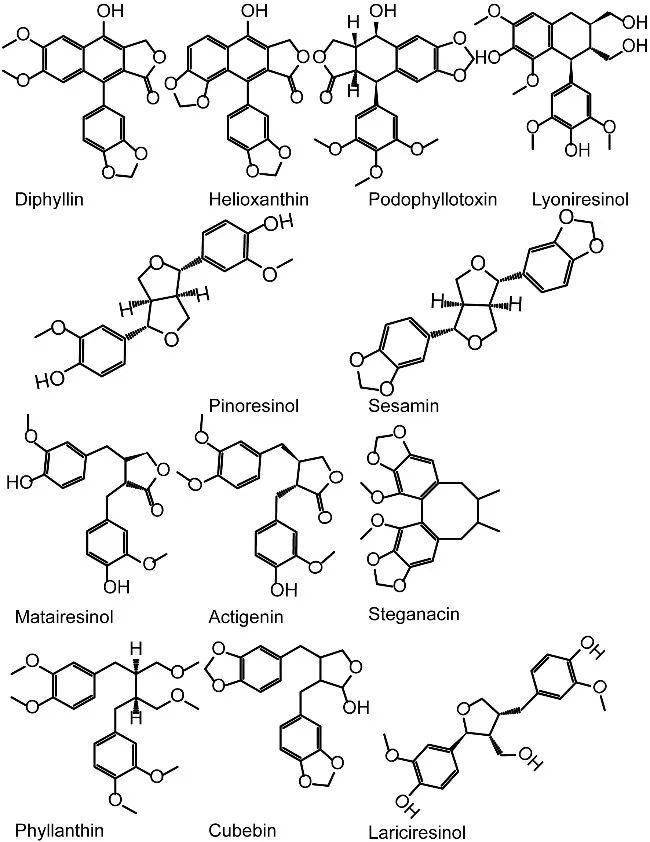 典型木脂素的结构