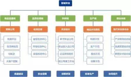 蓝城文旅与农业:运营模式,盈利模式及组织架构全图