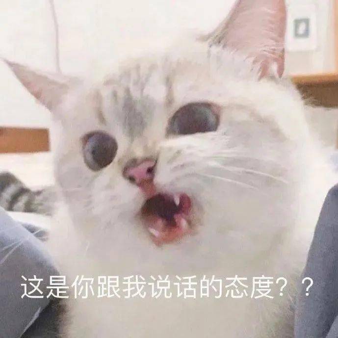 微信可爱聊天表情包已读不回