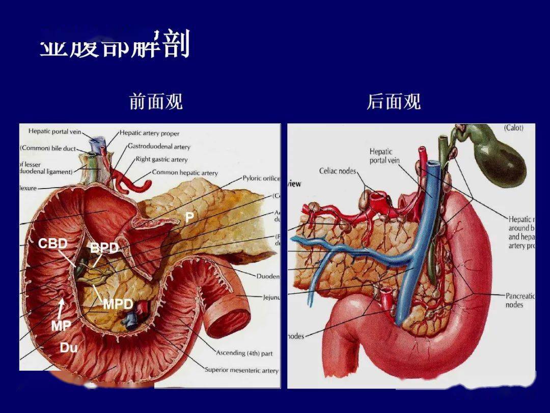 壶腹周围癌的ctmri诊断