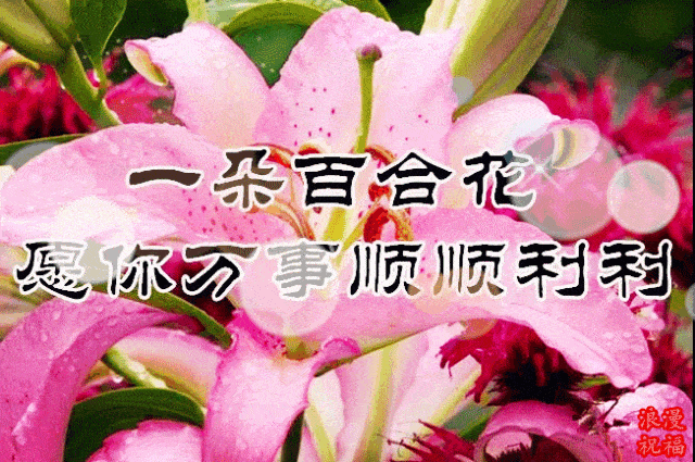 幸福常相伴 赶紧把这份祝福在三八节到来之前 送给你身边的女性朋友吧