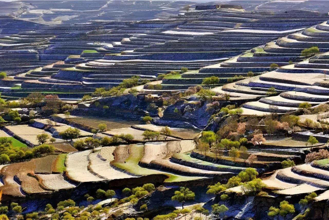 庄浪县 | 梯田的春夏秋冬