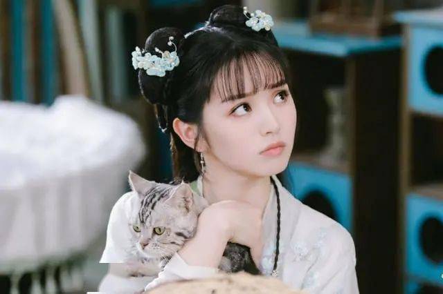 无大咖,90后演员挑大梁,我的宠物少将军豆瓣分为何会比赘婿高?