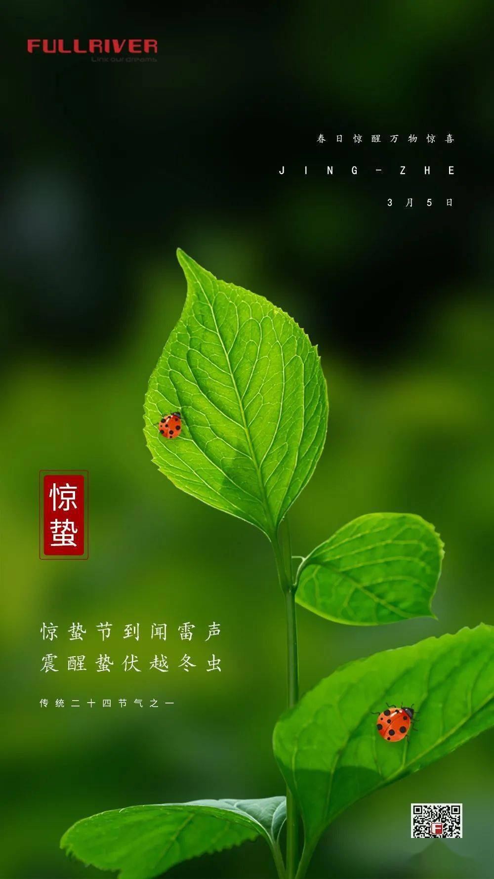 惊蛰|春雷响,万物长!