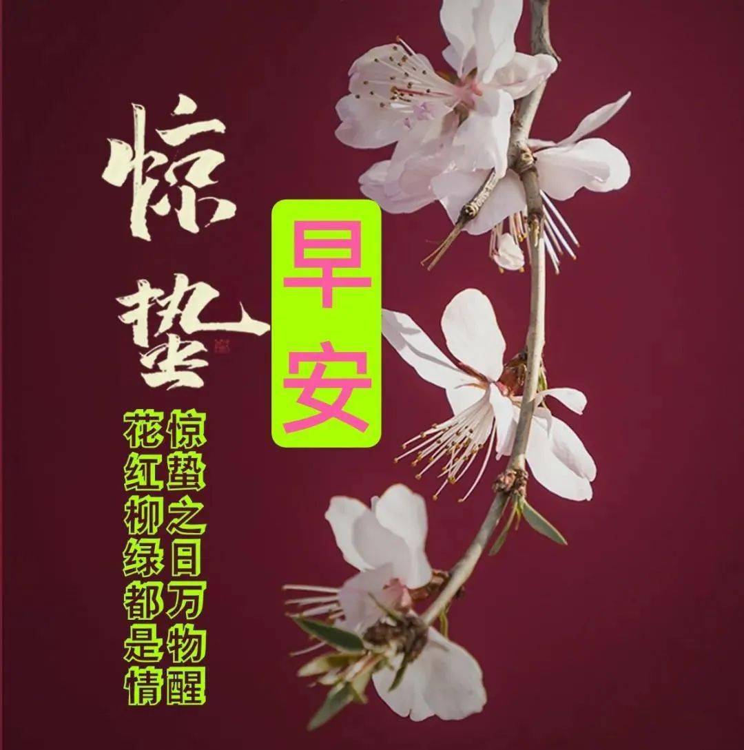 正月廿二惊蛰创意唯美早安问候祝福图片带字温馨 免打字朋友圈问候