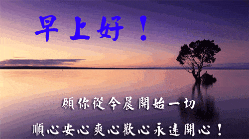 11张唯美的早安图片带字,漂亮好看的鲜花早上好问候语