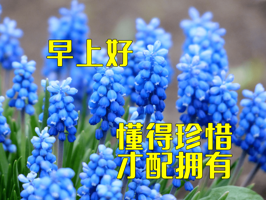 3月6日最漂亮早上好动态表情图片大全,早晨好动图美图