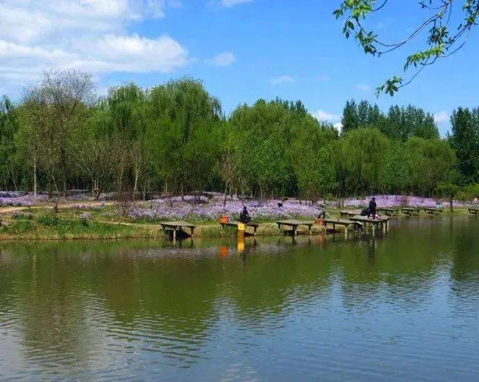 北京这几个免费的湿地公园景色宜人美如画